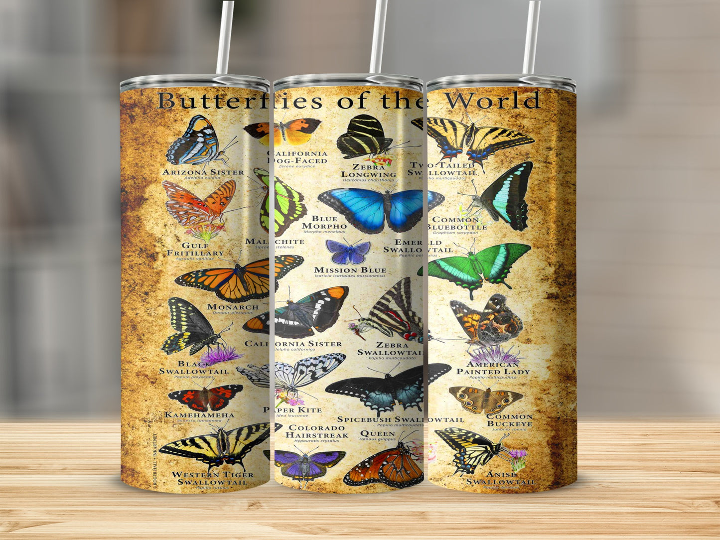 Butterflies of the World Butterfly Types Tumblers