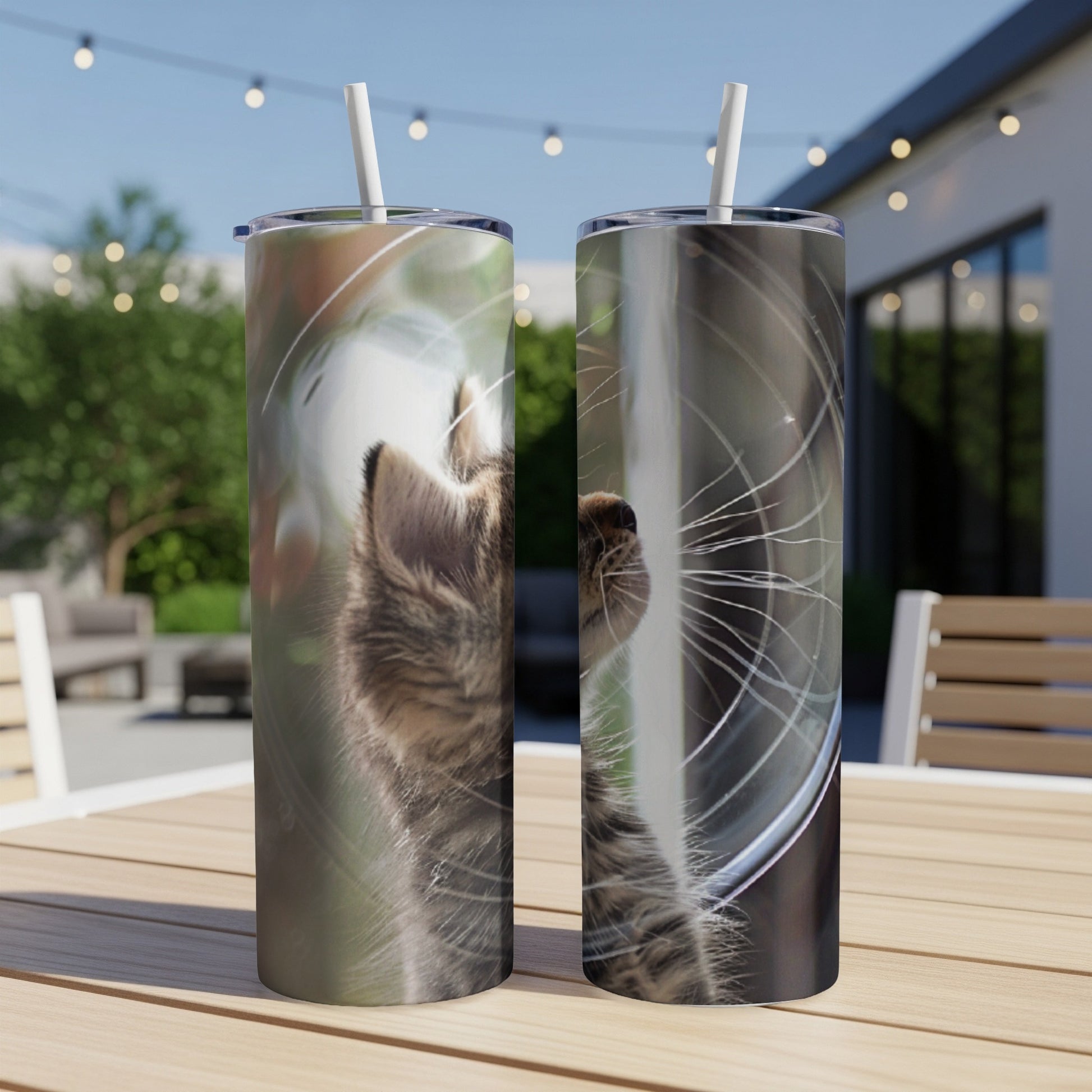 Two tumblers with a close-up of a kitten looking up.