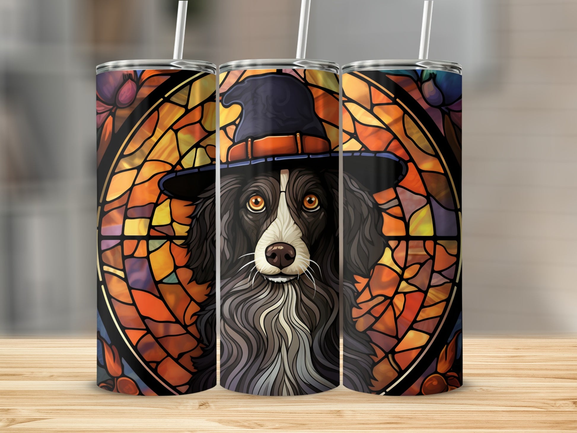 Border collie wearing witch hat against stained glass background.