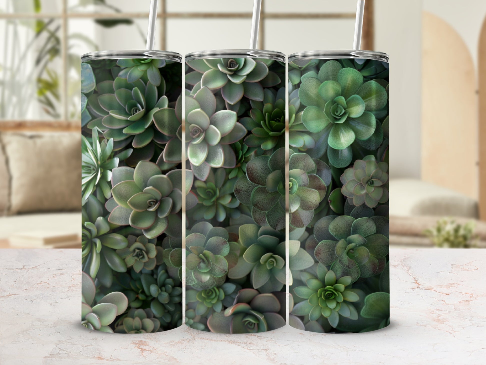 Three succulents fill tumblers, showcasing their layered green leaves.