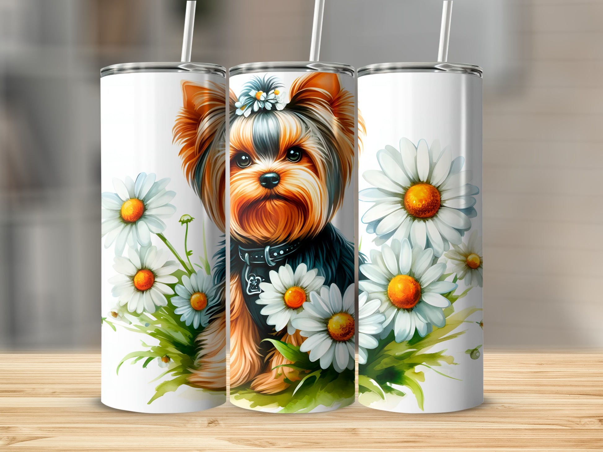 Yorkshire terrier with daisies on a tumbler, white background.