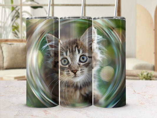 Tabby kitten in a glass circle, with blurred background.