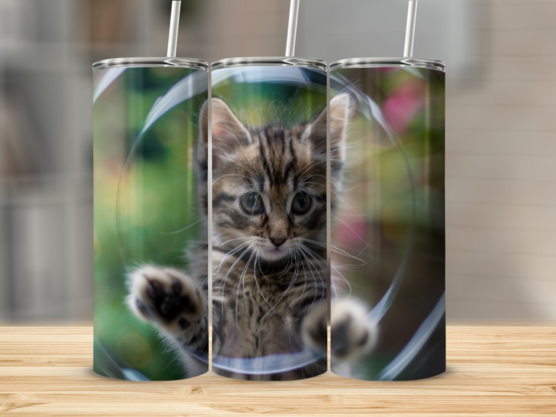 Tabby kitten peering through a clear cylinder with blurred green background.