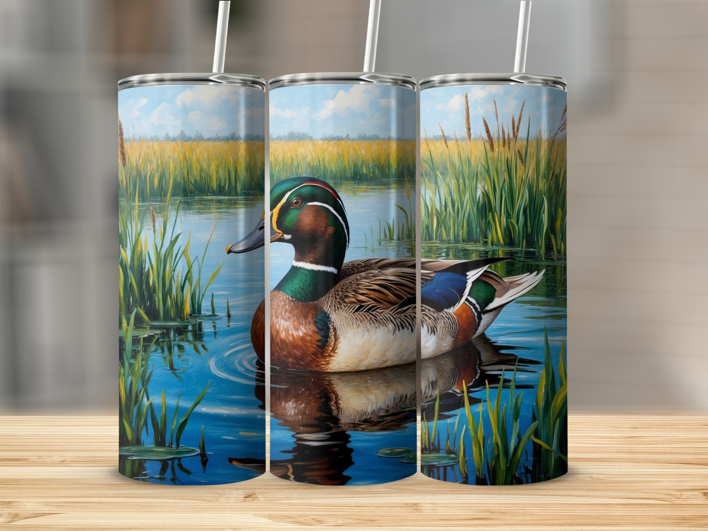 Mallard duck swimming in water with tall grass and a blue sky.