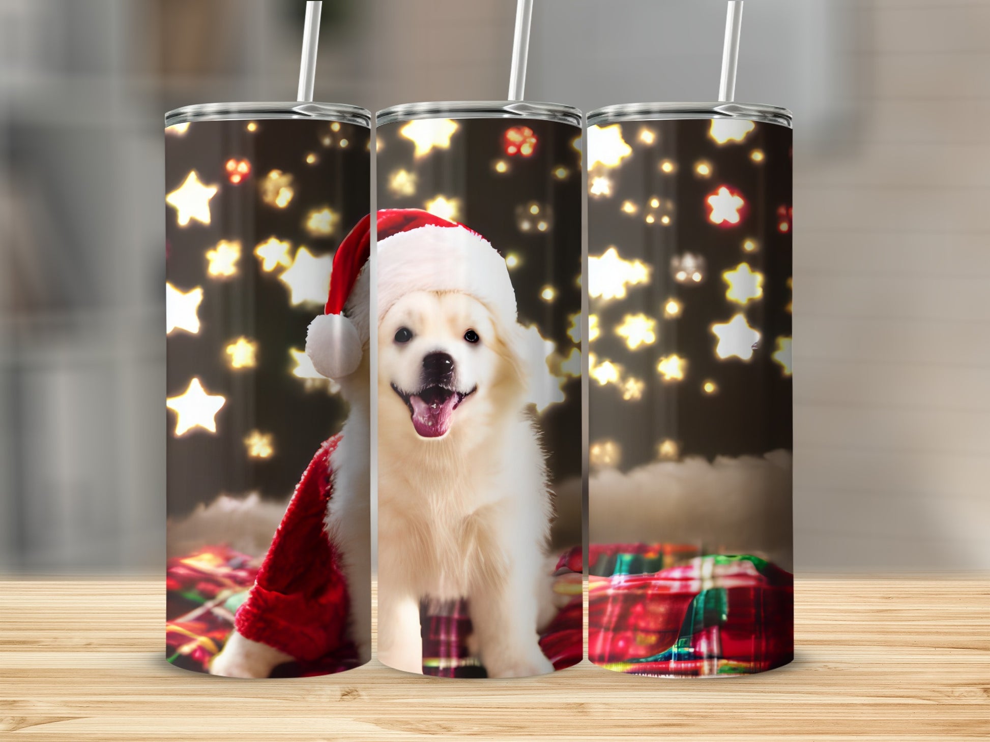White puppy in Santa hat with festive stars and plaid pattern.