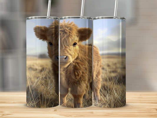 Fluffy Highland cow calf in a field, depicted on three tumblers.