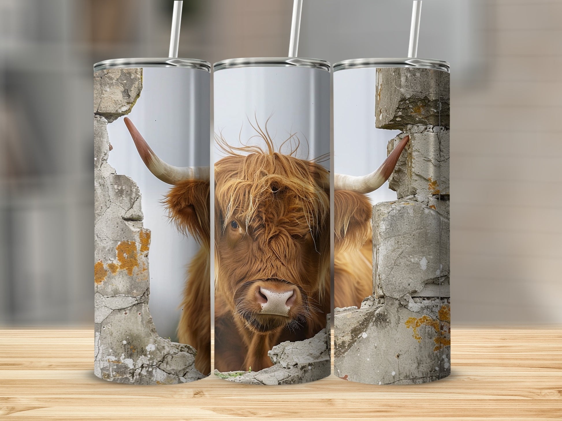 Highland Cow Peeking Broken Wall Design Tumbler product type