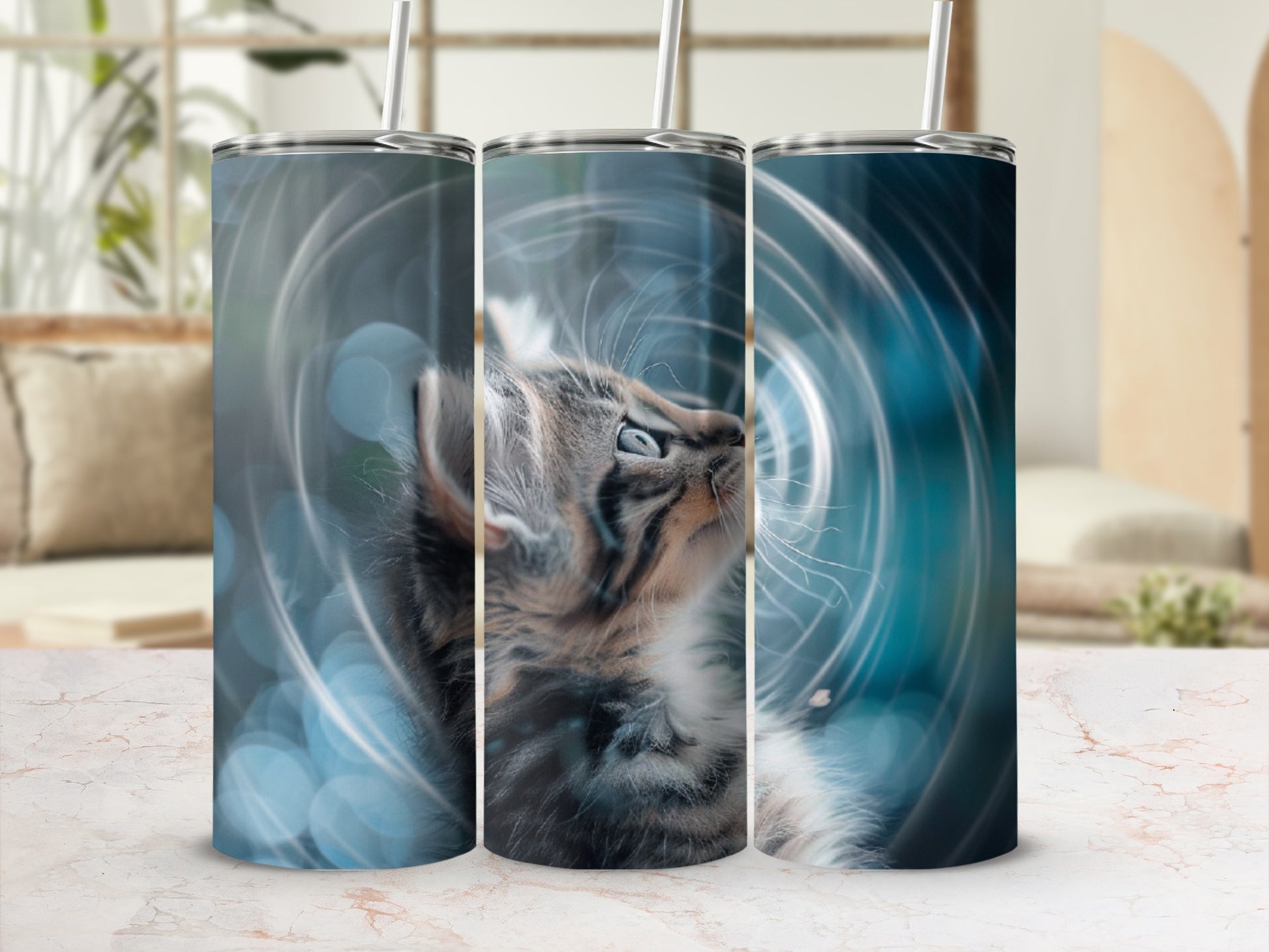 Three tumblers featuring a tabby kitten looking upwards with blurred blue circles.