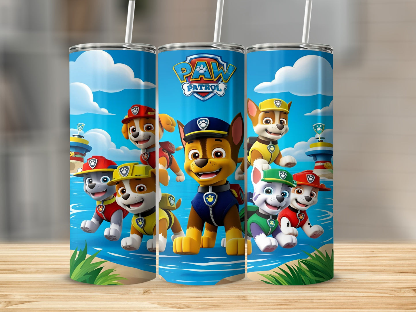 Paw Patrol characters Chase, Marshall, Skye, and Rubble on a beach.