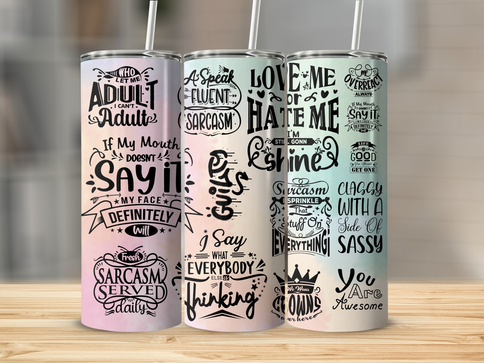 Sarcasm and Sassy Quotes Insulated Tumbler with Straw