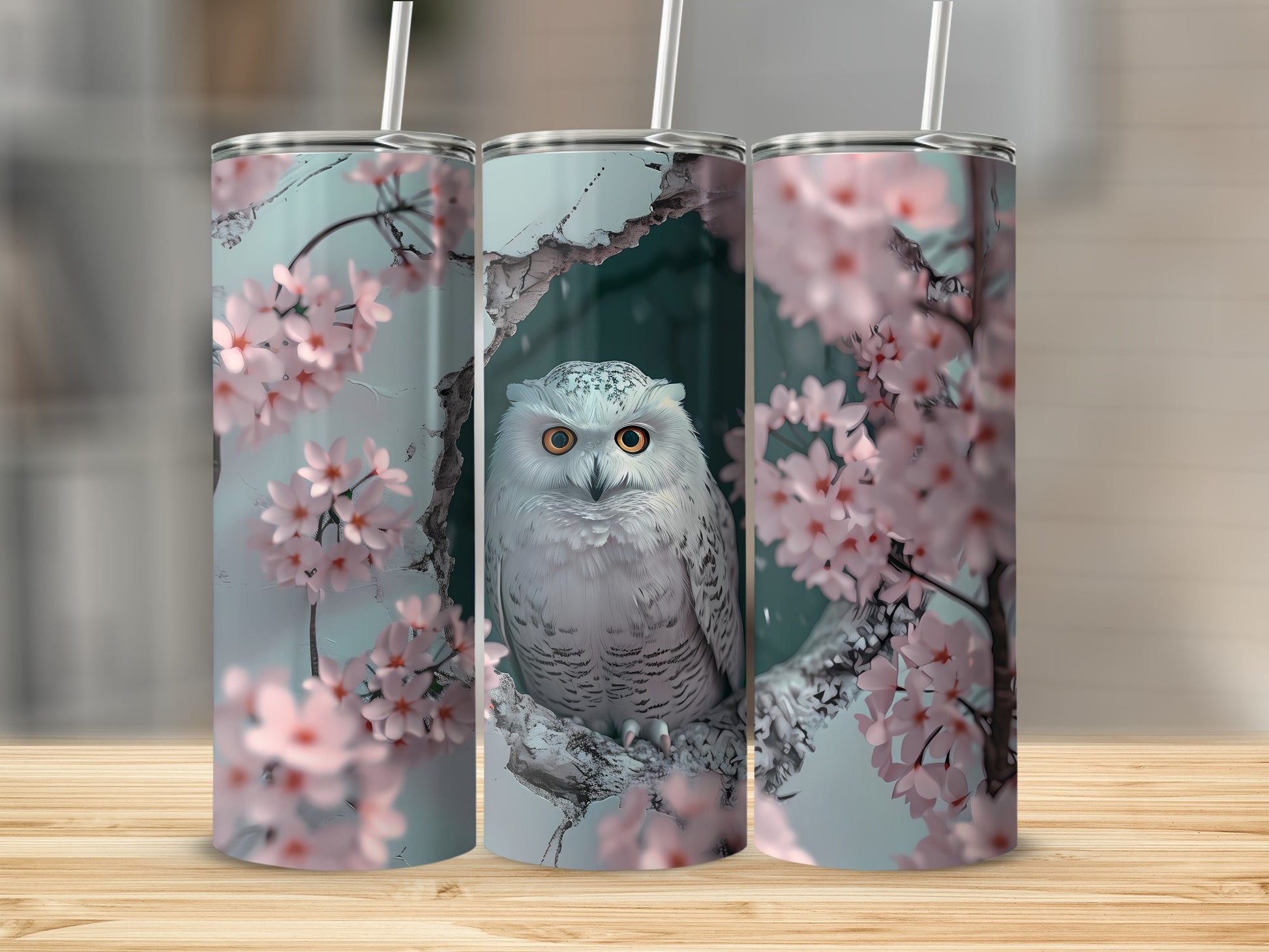 White owl on a branch with pink cherry blossoms.